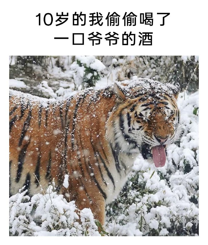 via 7号沙雕网友