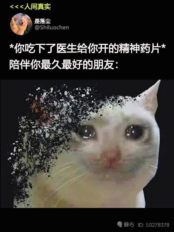 via 张某 犯罪嫌疑人