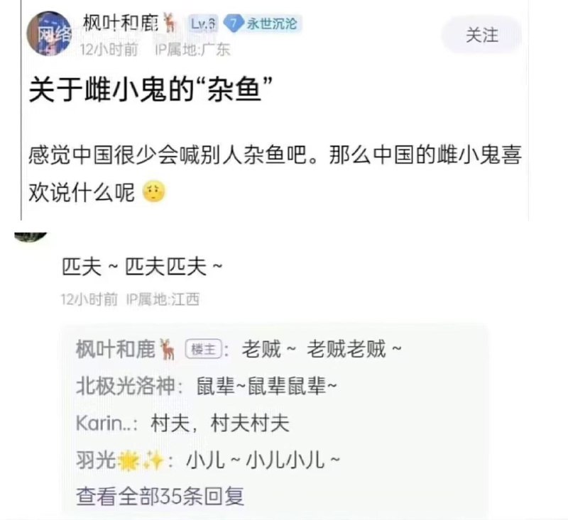 ？from 平壤卫视