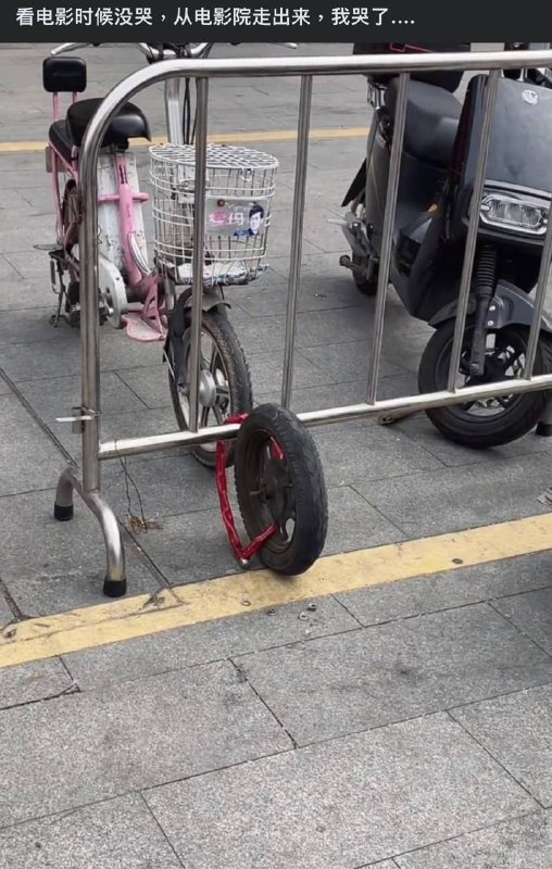 from 平壤卫视