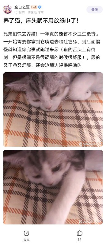 via 小白猫QwQ