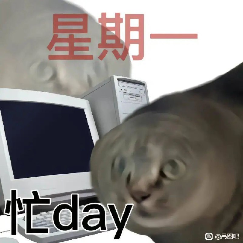 via 时月via 时月