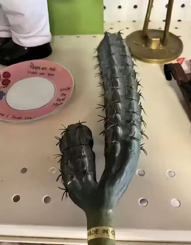 via Hua Hua