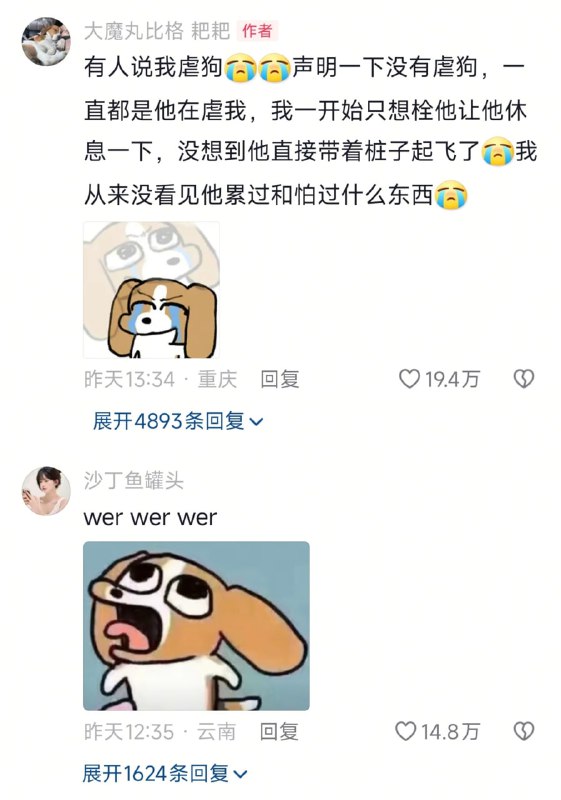 欢迎收看《比格犬之魔童降世》欢迎收看《比格犬之魔童降世》