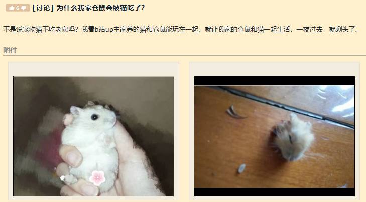 啊这