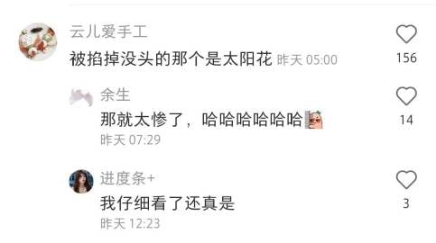把花掐掉了，把草养大了把花掐掉了，把草养大了
