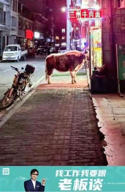 笑点解析 ：照片下面的广告令人忍俊不禁via Bingxin Baka