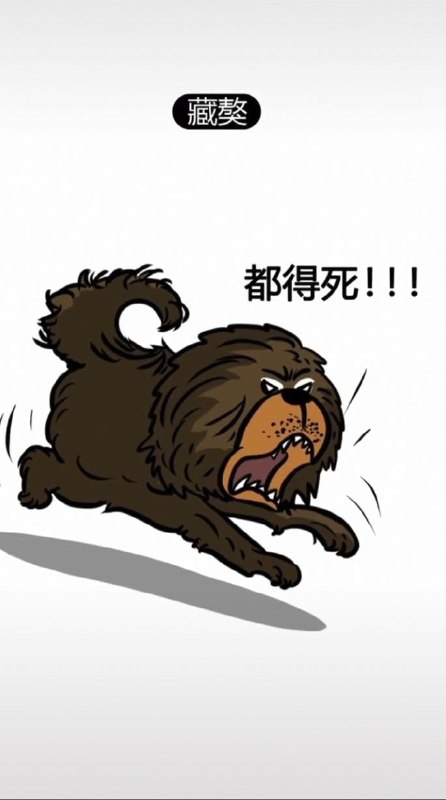 为什么有些狗不能做警犬 #精品为什么有些狗不能做警犬 #精品