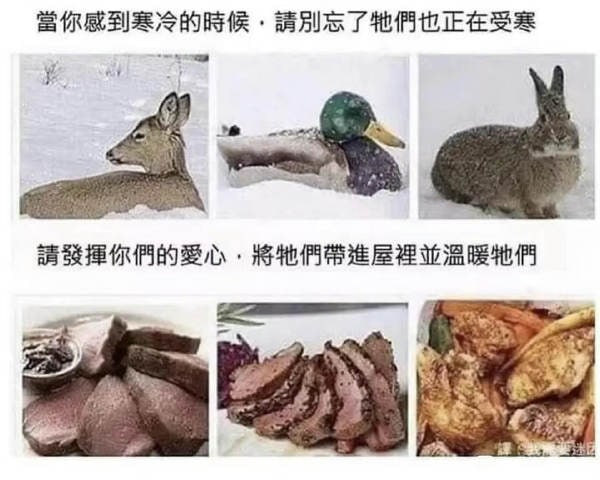 没问题，我可是很喜欢小动物的