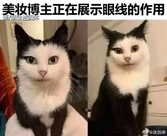 via 6号沙雕网友