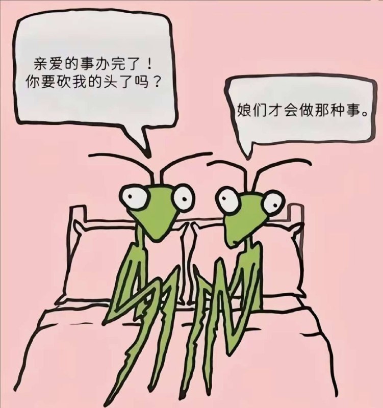 via my nbkls