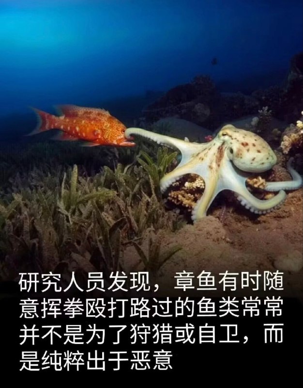 via Meng Xin