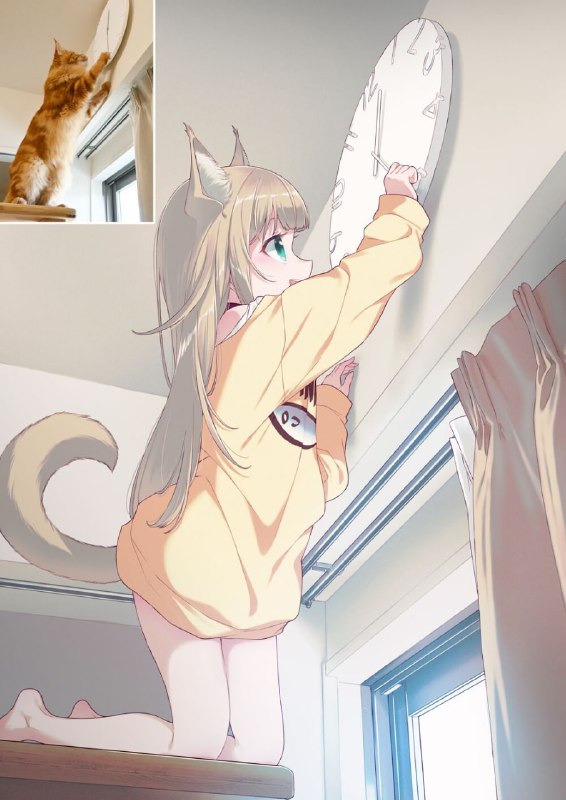 from 每日无数猫from 每日无数猫