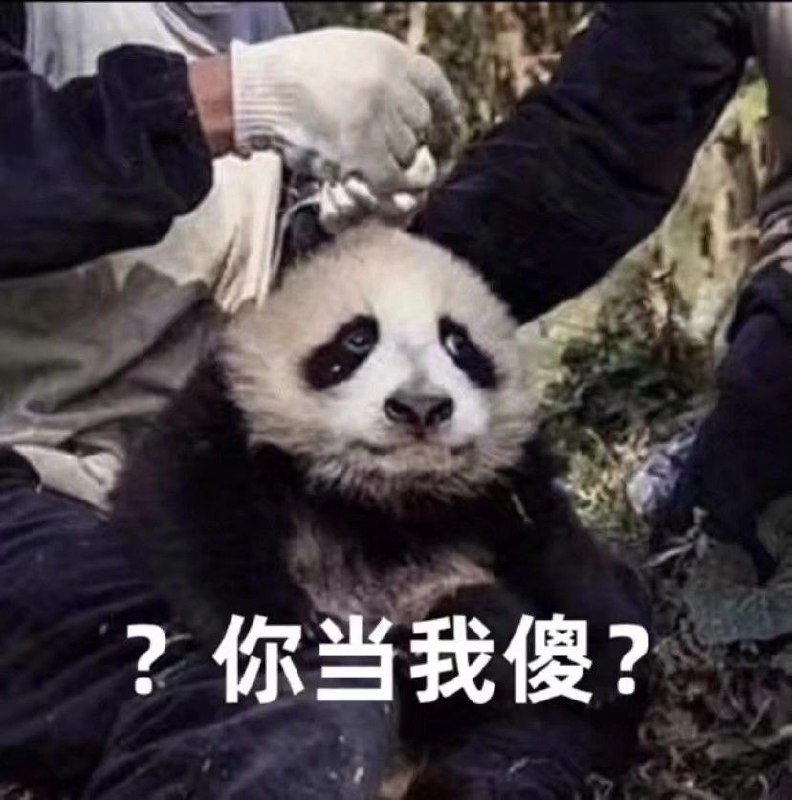 我也来试一下