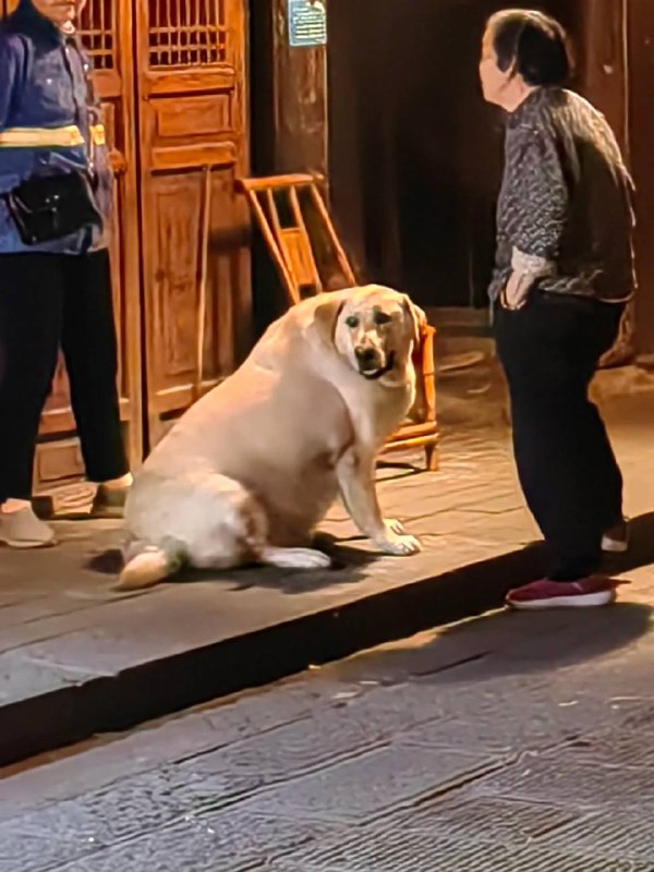 via 犯罪嫌疑人张某
