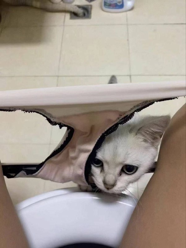via ShinnyAxe