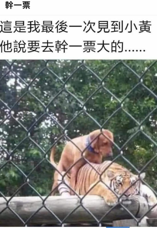 🤣