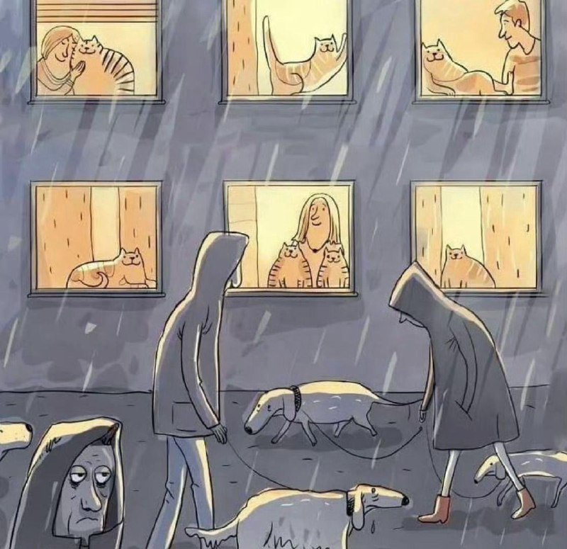 from 煎蛋无聊图